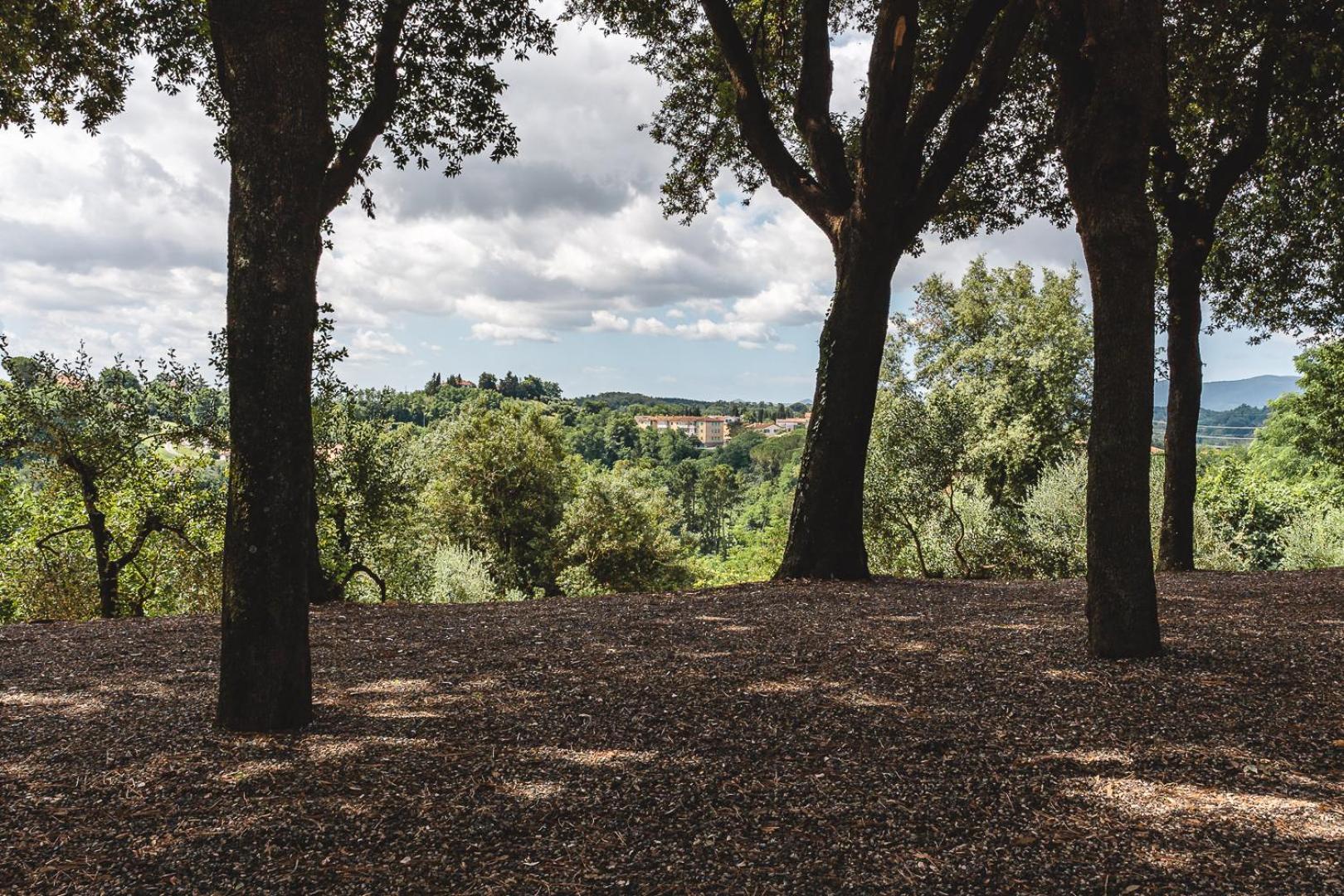 Ferienwohnung Fattoria Laviosa Fauglia Exterior foto